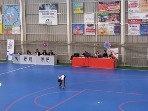 Preselecc Benj-Inf Pontevedra (10)