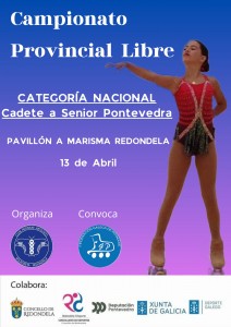 Cartel Provincial C-S Pontevedra