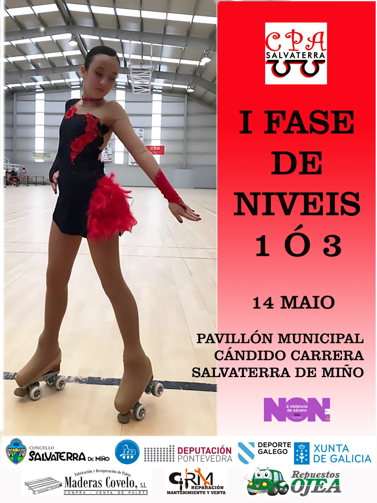 Cartel I Fase Niveles 1-3 Pontevedra