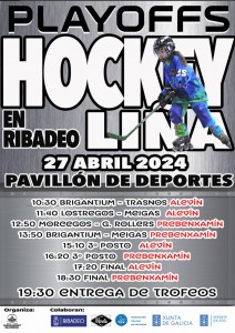 Cartel Hockey playoffs