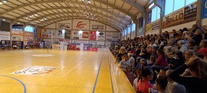 Fotos III Fase Niveles 1-3 Coruña Sur (9)